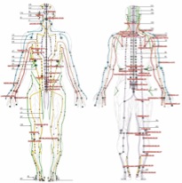 Chinese_meridians