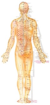 acupuncture